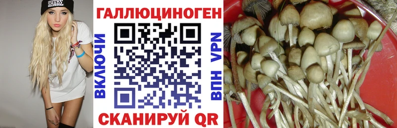 Купить закладки  Нерехта  Псилоцибиновые грибы MAGIC MUSHROOMS 